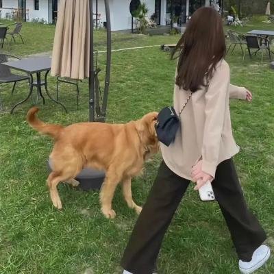 巴黎春色